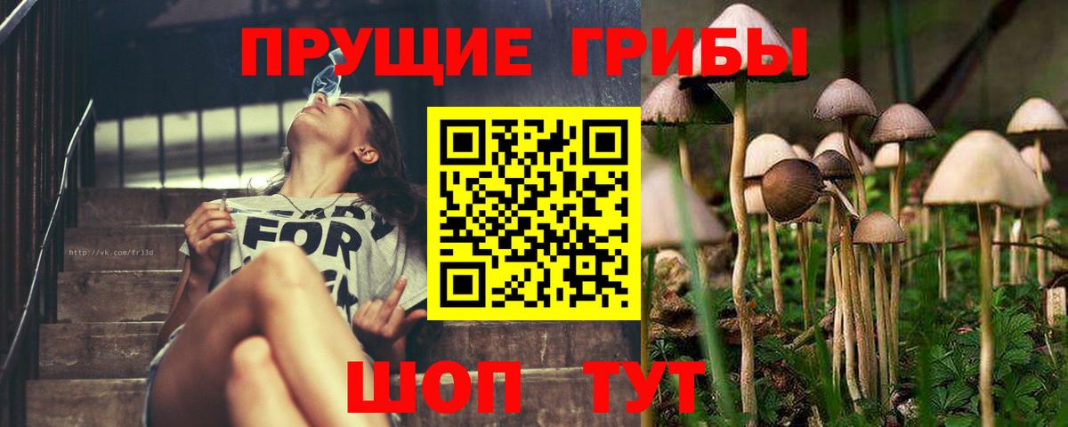 Гашиш  A PVP СК   Мефедрон   Кокаин  Феодосия  Каннабис  Вход с VPN 