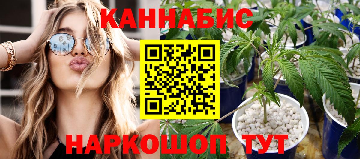 Шишки марихуана OG Kush Феодосия